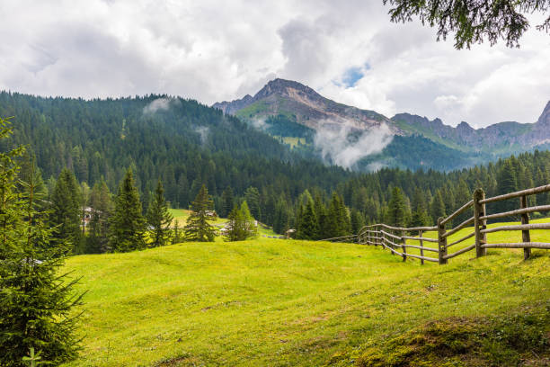 istock Green lawn in the mountains with cloudy sky on the backfround 1253129429
