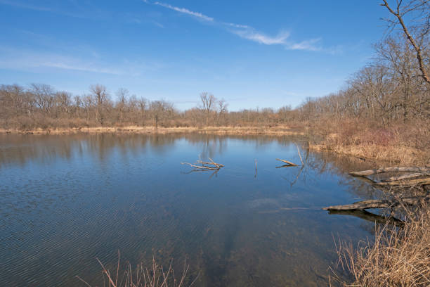 istock Quiet pond in a Wildlife Refuge 1253132494