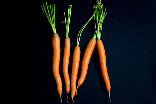 Organic Heirloom Raw Carrots in a Row, Black Background