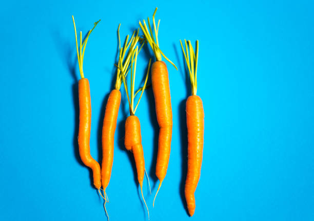 istock Organic Heirloom Raw Carrots in a Row, Turquoise Background 1253138092