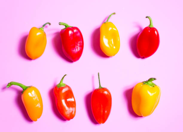 istock Colorful Sweet Peppers Lined Up on Pink Background 1253138100