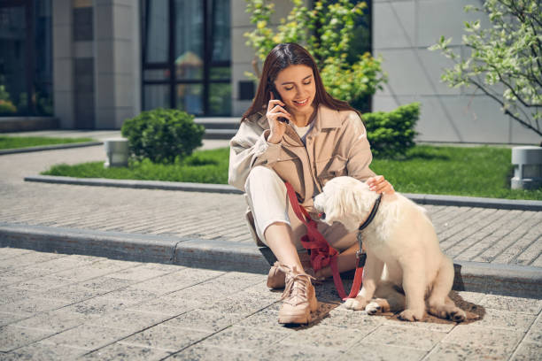 istock Woman with a smartphone looking at her pet 1253139049