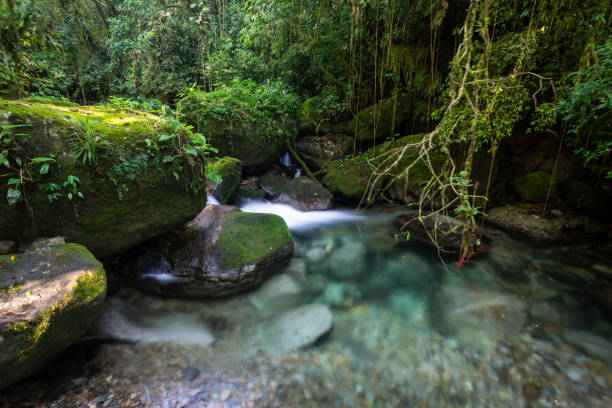 istock Beautiful crystal clear river with blue water on green rainforest 1253139378