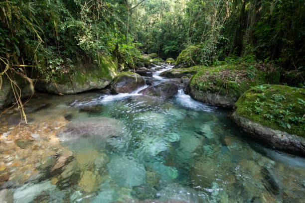 Beautiful crystal clear river with blue water on green rainforest in Penedo, RJ, Brazil
