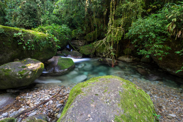 istock Beautiful crystal clear river with blue water on green rainforest 1253139421