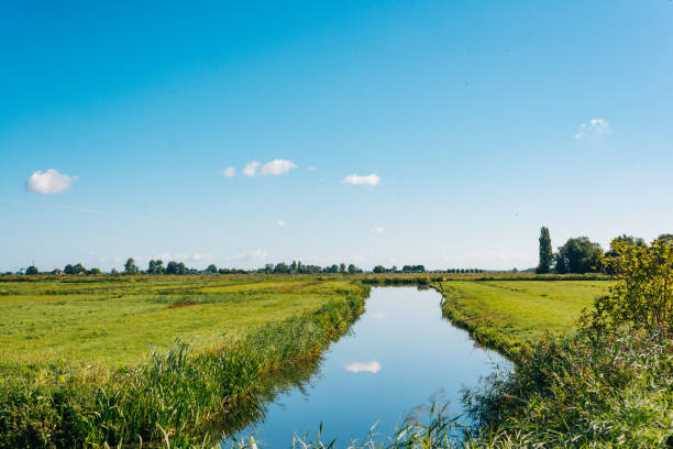 istock Colorful windmills in Zaanse Schans Netherlands 1253139495