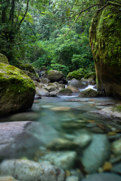 istock Beautiful green rainforest river with blue crystal clear water 1253140664