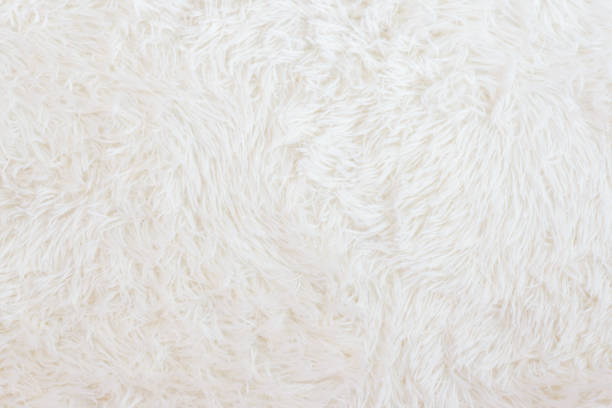 istock White Fur Hair Rug Carpet Texture 1253142995