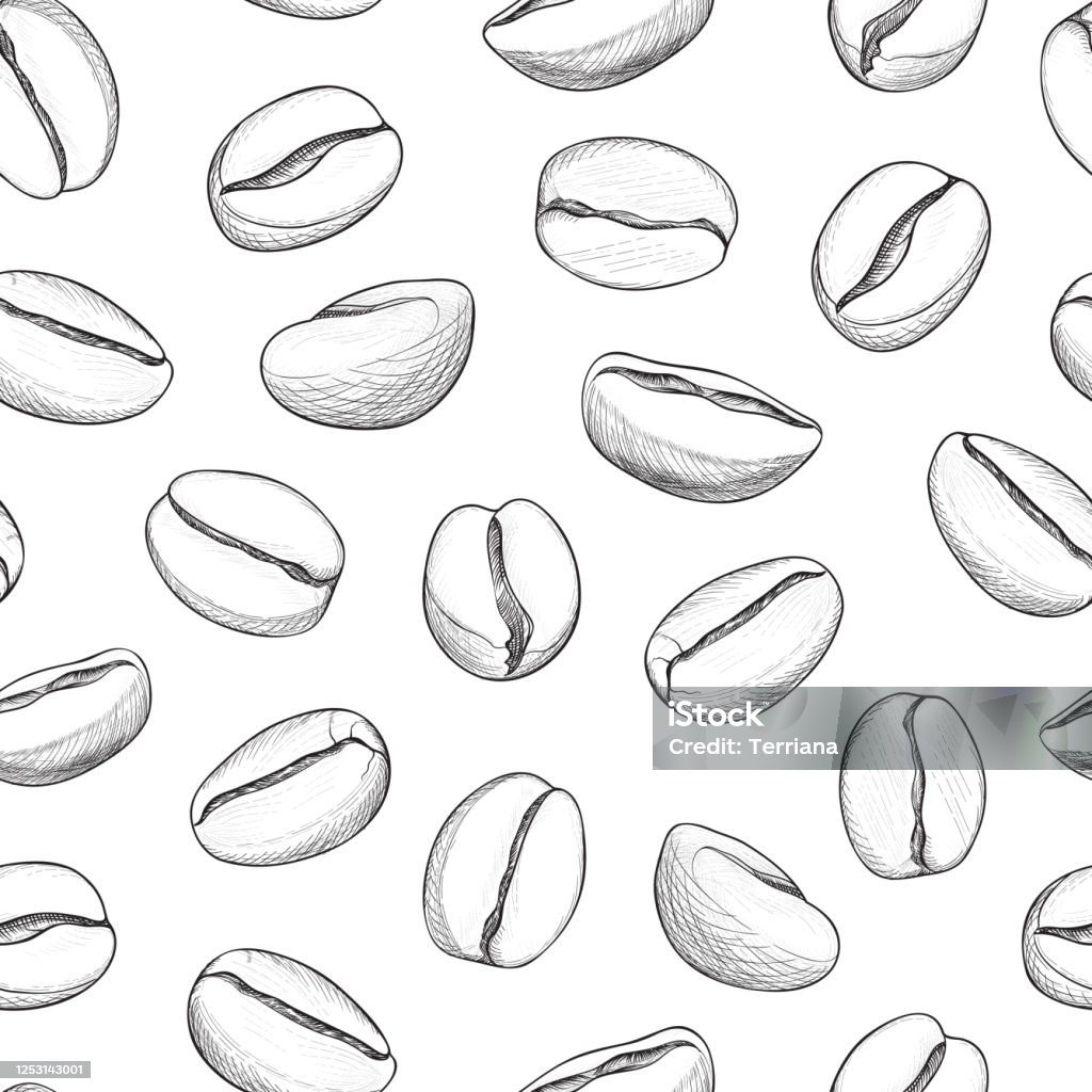 Xem hơn 48 ảnh về hình vẽ hạt cà phê - daotaonec