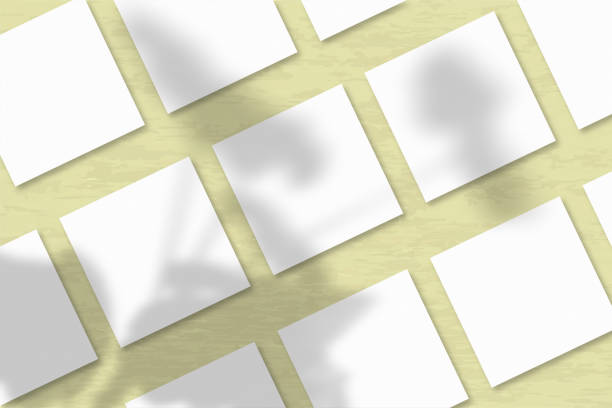 istock Several square sheets of white textured paper against a yellow wall background. Natural light casts shadows from an exotic plant. Flat lay, top view 1253145742
