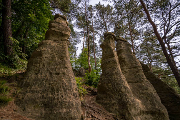 istock Fantastic hike near Sipplingen on Lake Constance 1253148350