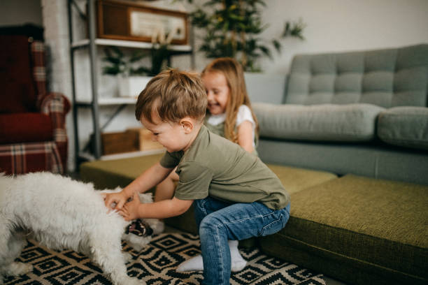 istock You are cute 1253153324
