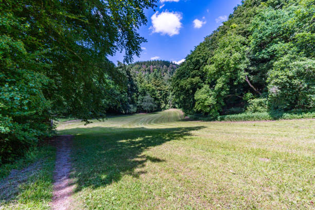 istock Fantastic hike near Sipplingen on Lake Constance 1253153383