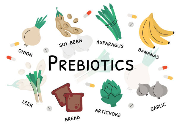 sản phẩm vi khuẩn prebiotic và thực phẩm giàu chất dinh dưỡng - probiotic hình minh họa sẵn có