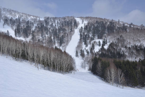istock Winter in Hokkaido  Japan 1253156632