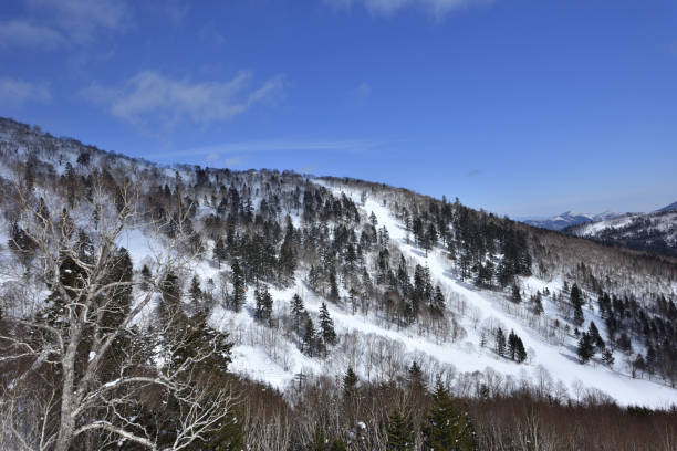 istock Winter in Hokkaido  Japan 1253157441