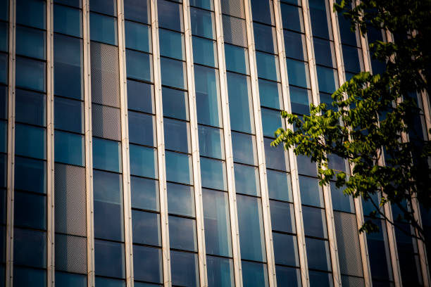istock modern office building with green trees 1253168115