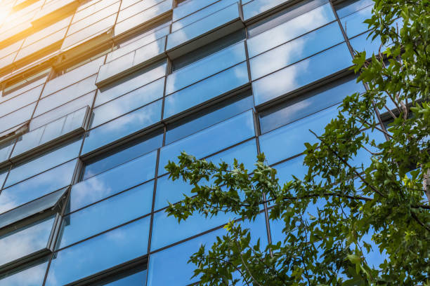 istock modern office building with green trees 1253168119