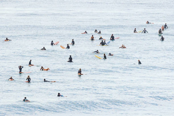 um grande grupo de surfistas está em tea tree bay no parque nacional noosa na época de covid-19, noosa heads, sunshine coast, queensland, austrália em 9 de maio de 2020 - crowd surfing - fotografias e filmes do acervo