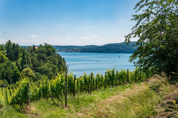 Fantastic hike near Sipplingen on Lake Constance with wonderful views and mysterious gorges