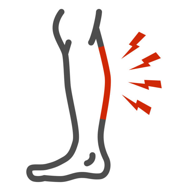 ilustrações de stock, clip art, desenhos animados e ícones de shin hurts line icon, body pain concept, shin pain sign on white background, leg injured in shin area icon in outline style for mobile concept and web design. vector graphics. - barriga da perna corpo humano