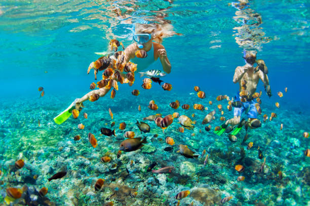 pareja joven en máscara de snorkel buceo bajo el agua en el mar tropical - nusa lembongan fotografías e imágenes de stock