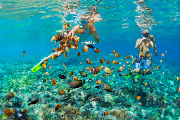 jovem casal em máscara de mergulho mergulha debaixo d'água no mar tropical - nusa lembongan bali island beach - fotografias e filmes do acervo