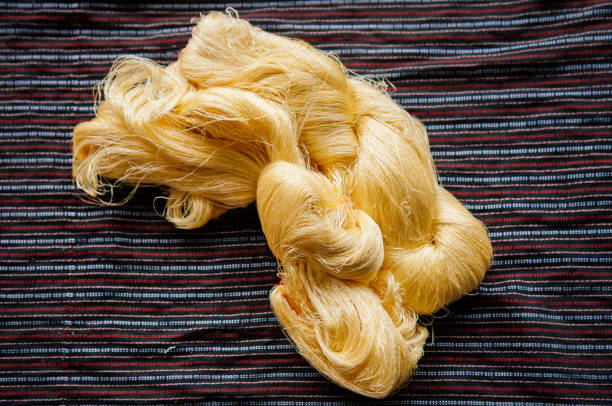 istock Natural yellow silk thread traditional sericulture of Thai silk making 1253180909