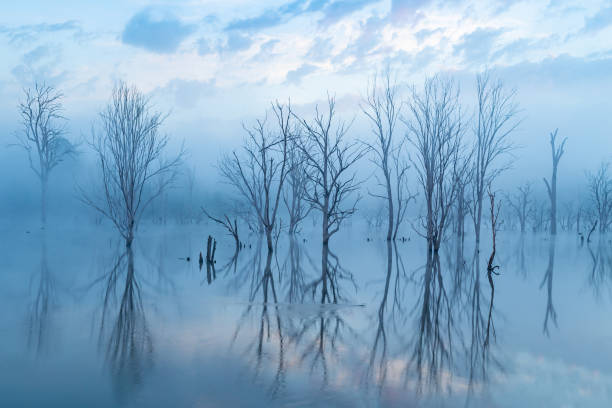 istock Winter at the lake 1253182336