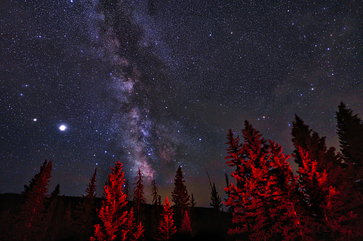 Trees at Night in Red with Milky Way Galaxy - Dark skies and vivid Milky Way Galaxy astrophotography landscape in wilderness area.