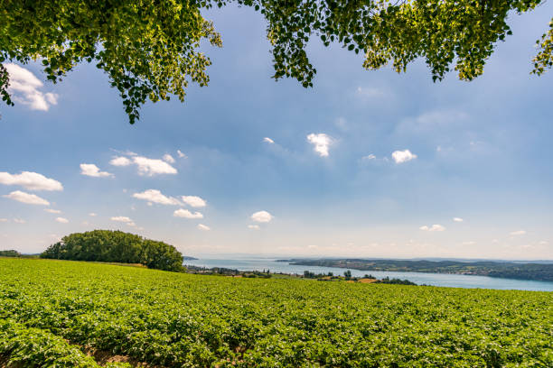 Fantastic hike near Sipplingen on Lake Constance with wonderful views and mysterious gorges