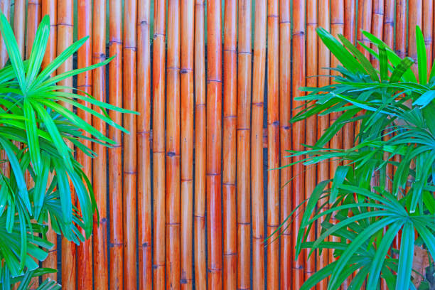 istock Red bamboo vertical line background and green leaf Lady palm on the right and left 1253192829