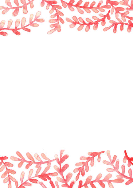 ilustrações de stock, clip art, desenhos animados e ícones de romantic pink fern frame watercolor hand painting background for decoration on valentine's day and wedding events. - fern forest ivy leaf