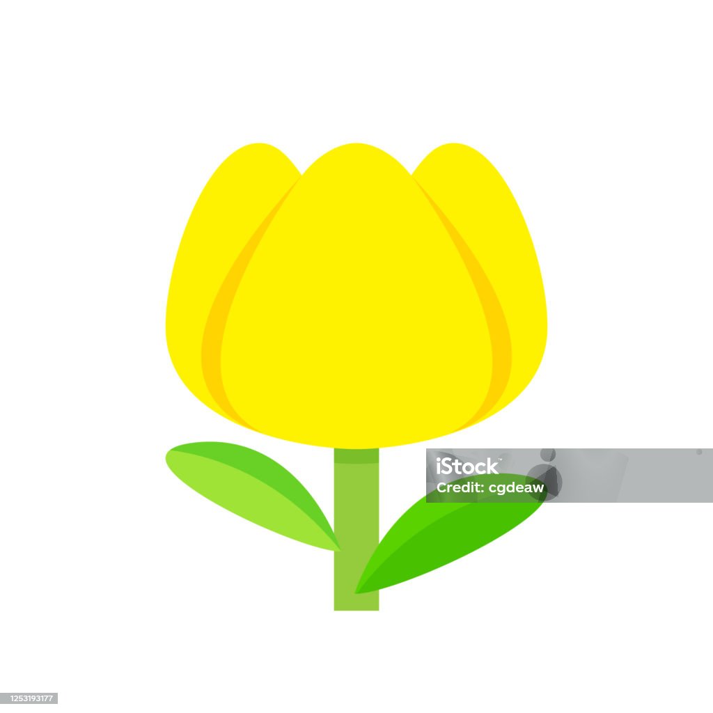 Hoa Tulip Màu Vàng Đơn Giản Cô Lập Trên Nền Trắng Hoa Tulip Vàng ...