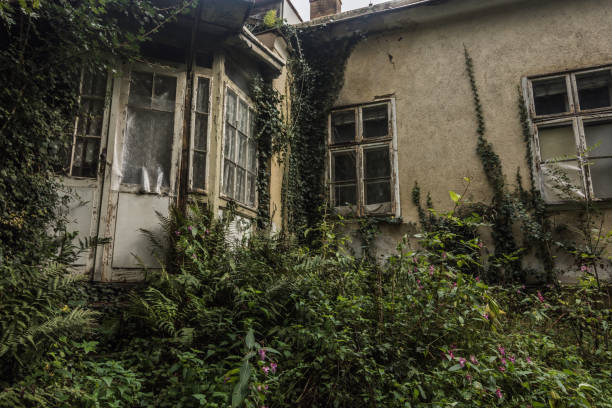 istock overgrown building with plants in a forest 1253193690