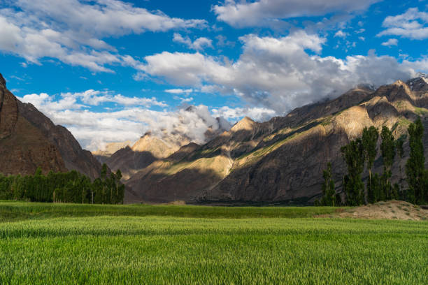 Beautiful landscape of Askole village in summer season. A starting village in K2 mountain base camp trekking route in Karakoram mountains range, Pakistan Beautiful landscape of Askole village in summer season. A starting village in K2 mountain base camp trekking route in Karakoram mountains range, Pakistan, Asia karakoram range stock pictures, royalty-free photos & images