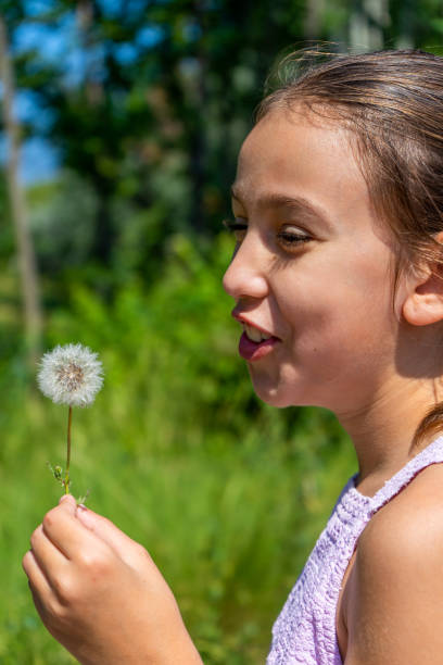 istock Pretty little girl picking a flower on a path surrounded by nature 1253199079
