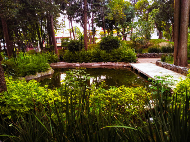 istock Green Park with a gorgeous lake 1253199090