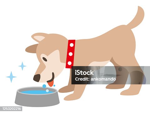 istock Illustration of a dog drinking water 1253202216