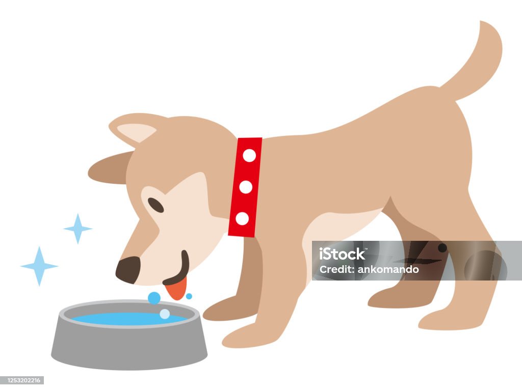 Illustration of a dog drinking water Dog stock vector