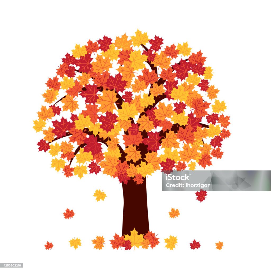 흰색 배경에 가을 나무 0명에 대한 스톡 벡터 아트 및 기타 이미지 - 0명, 10월, 9월 - Istock