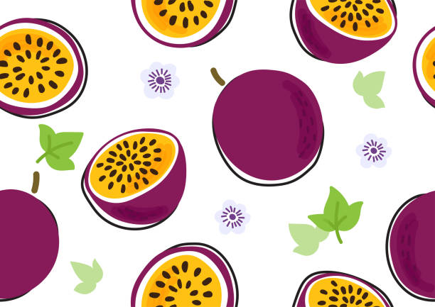 ilustraciones, imágenes clip art, dibujos animados e iconos de stock de patrón de fruta de pasión sin costuras - parchita