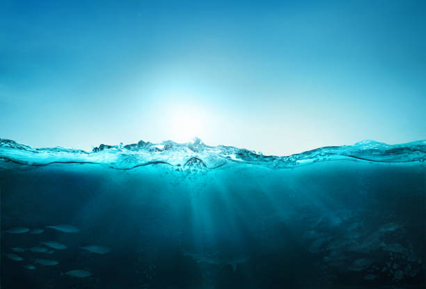 istock ocean blue underwater waves with sun beam clear view realistic, world oceans day banner 1253210073