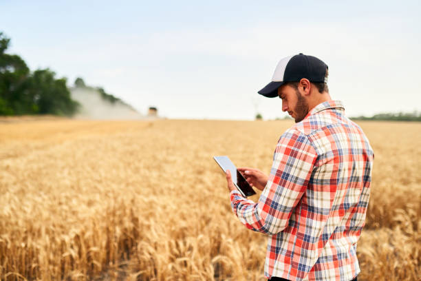 istock Smart farming using modern technologies in agriculture. Man agronomist farmer holding digital tablet computer standing in a wheat field and using apps, internet for business management and analytics 1253210194