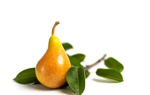 Fresh pears with leaves on white background. Fruit isolated