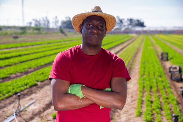 istock Confident aframerican farmer with arms crossed on farm field 1253214932