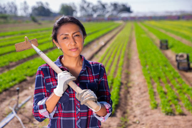 istock Smiling Latina standing on farm field with hoe 1253214958