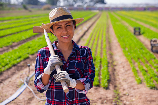 Portrait of positive latino woman with hoe on his field background