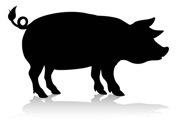свинья фермы животных silhouette - siloette stock illustrations