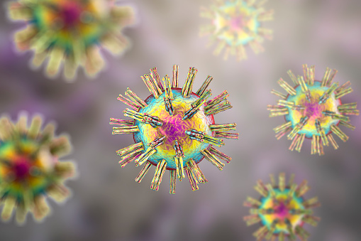Virus del herpes simple humano photo